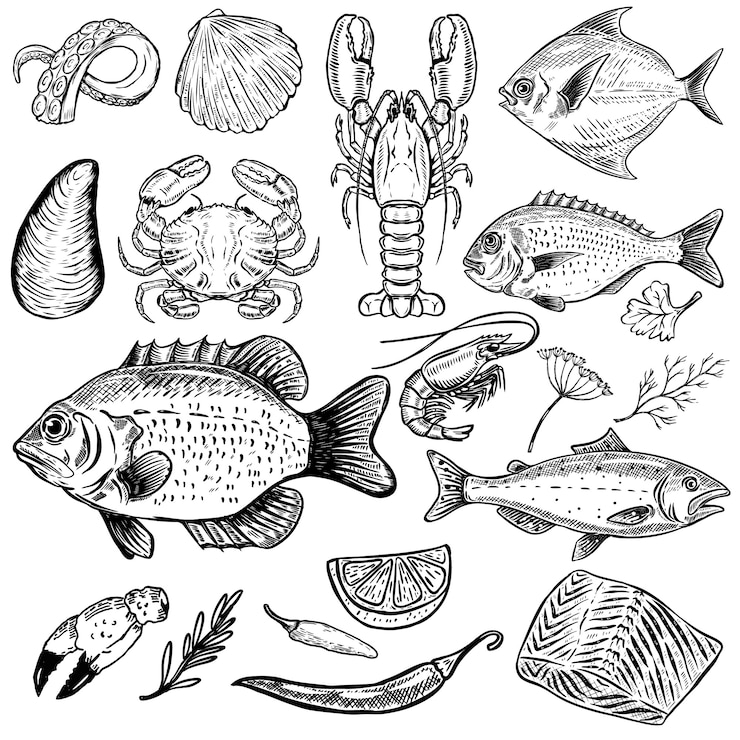 Vector conjunto de ilustraciones de mariscos dibujados a mano sobre fondo blanco. pescado, cangrejo, langosta, ostras, camarones. especias elementos para el menú, póster. ilustración