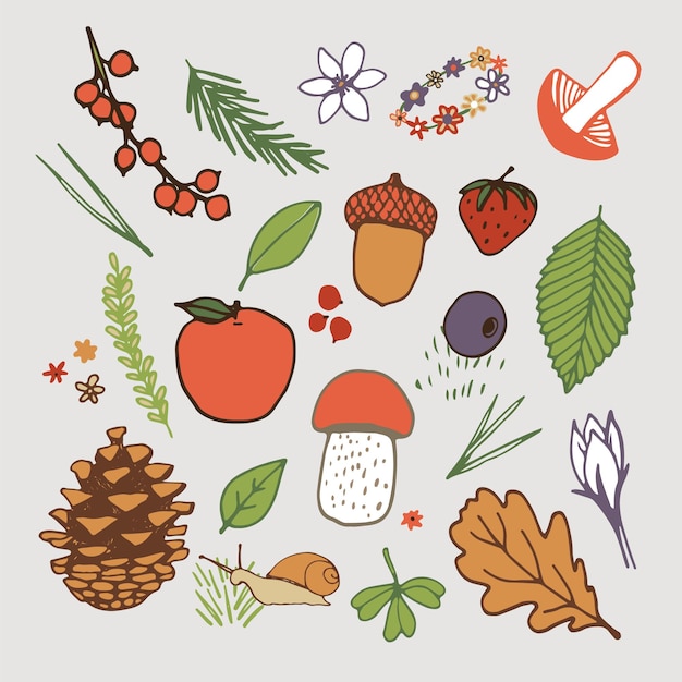 Conjunto de ilustraciones de objetos de naturaleza de bosque de otoño
