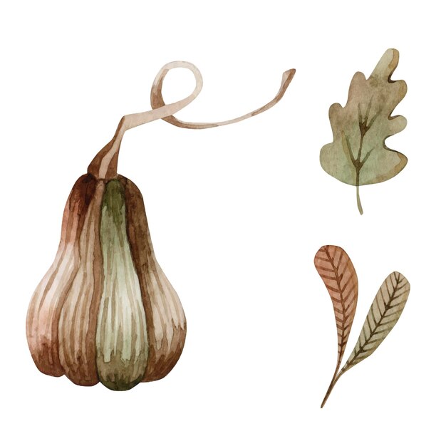 Un conjunto de ilustraciones otoñales de hojas y calabazas.