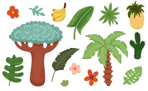 Conjunto de ilustraciones planas con plantas tropicales dibujos animados para niños Colección infantil de baobab