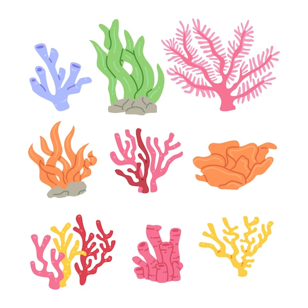 Conjunto de ilustraciones simples de coral plano y colorido