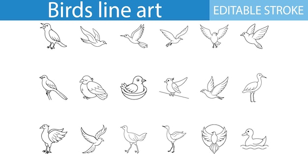 Conjunto de ilustraciones de trazos editables de Birds Line Art