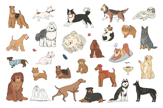 Conjunto de ilustraciones de vectores de colección de raza de perro mascota divertida