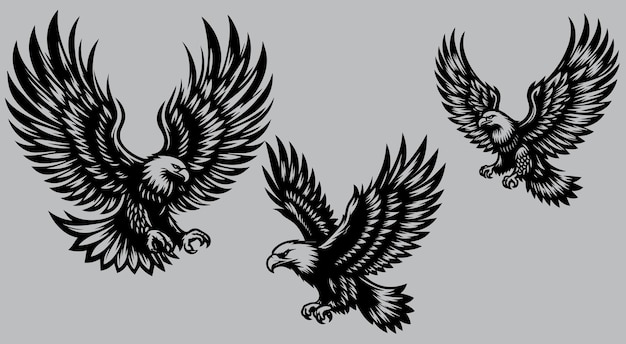 Conjunto de ilustraciones vectoriales de águila en colores blanco y negro