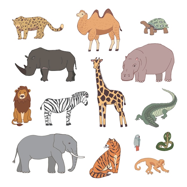 Conjunto de ilustraciones vectoriales de animales africanos
