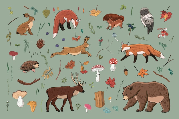 Conjunto de ilustraciones vectoriales de animales del bosque