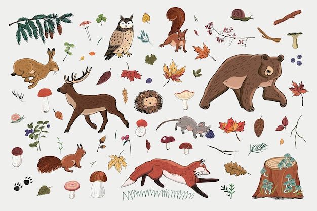 Conjunto de ilustraciones vectoriales de animales del bosque