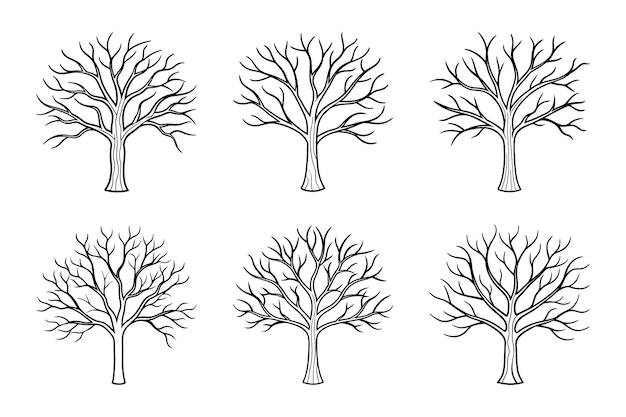 Conjunto de ilustraciones vectoriales de arte de línea de árbol desnudo para diseños temáticos de otoño y otoño