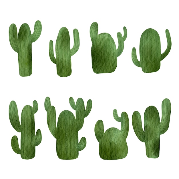 Conjunto de ilustraciones vectoriales de cactus dibujadas a mano en acuarela