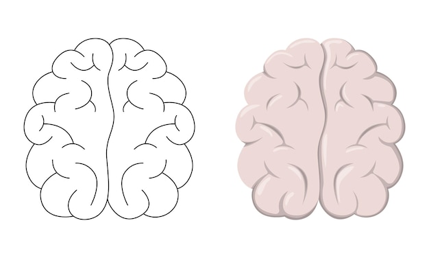 Vector conjunto de ilustraciones vectoriales cerebro aislado sobre fondo blanco en línea arte estilo de dibujos animados de color plano