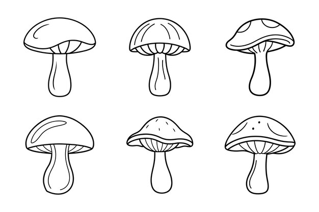 Conjunto de ilustraciones vectoriales de contorno de setos dibujados a mano para colorear y diseñar