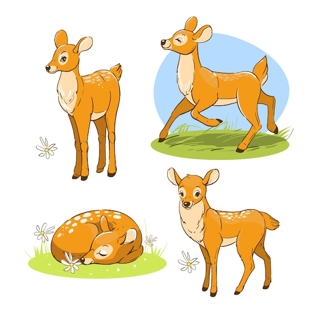 Conjunto de ilustraciones vectoriales dibujadas a mano de un bebé ciervo de dibujos animados
