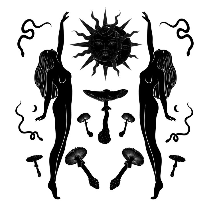 Vector conjunto de ilustraciones vectoriales de las fases de la luna diferentes etapas de la actividad de la luz de la luna en el grabado vintage