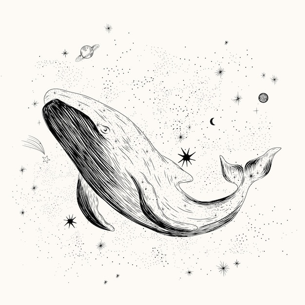 Conjunto de ilustraciones vectoriales de fases lunares Diferentes etapas de actividad de la luz de la luna en grabados antiguos