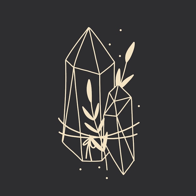 Conjunto de ilustraciones vectoriales de fases lunares Diferentes etapas de actividad de la luz de la luna en grabados antiguos