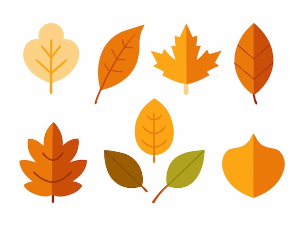 Un conjunto de ilustraciones vectoriales de hojas secas de la temporada de otoño