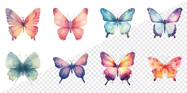 Vector conjunto de ilustraciones vectoriales de mariposas de acuarela de insectos con diferentes patrones en las alas