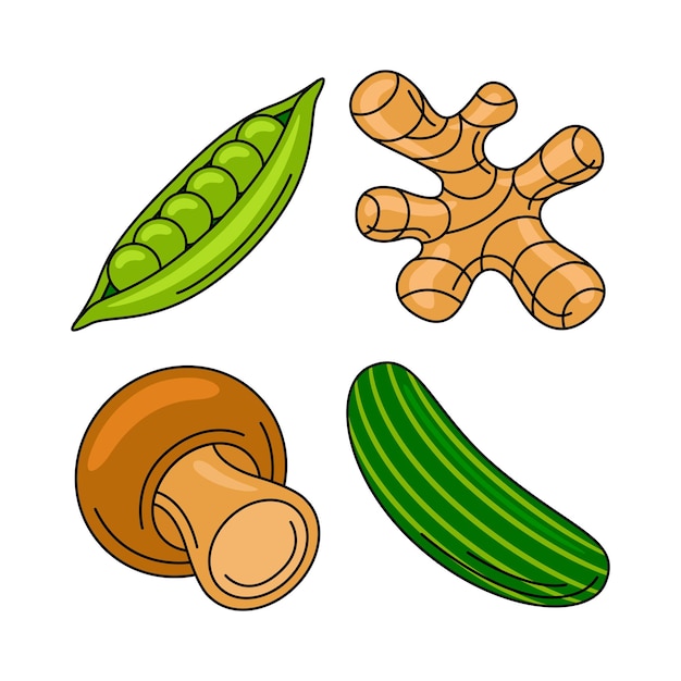 conjunto de ilustraciones vectoriales de objetos vegetales