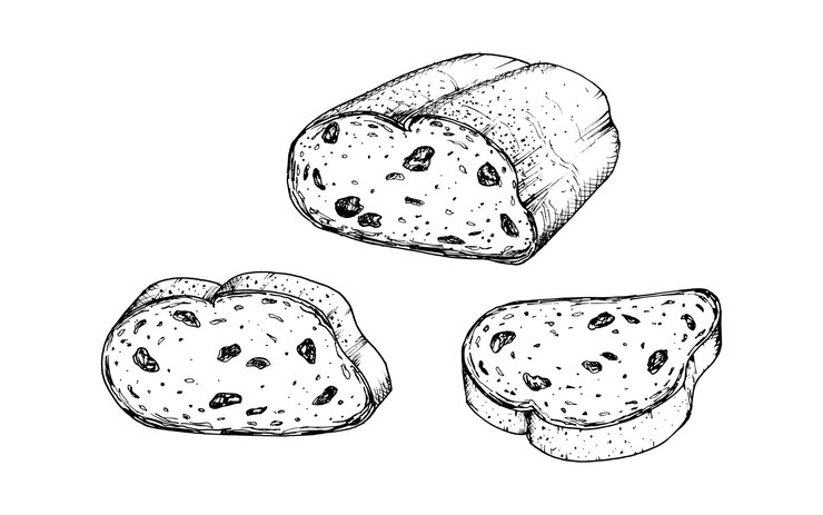 Vector conjunto de ilustraciones vectoriales de pan de pasas cortadas con textura detallada para receta de diseño de panadería