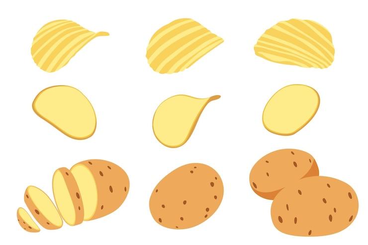 Vector conjunto de ilustraciones vectoriales de patatas aisladas sobre un fondo blanco vector eps 10