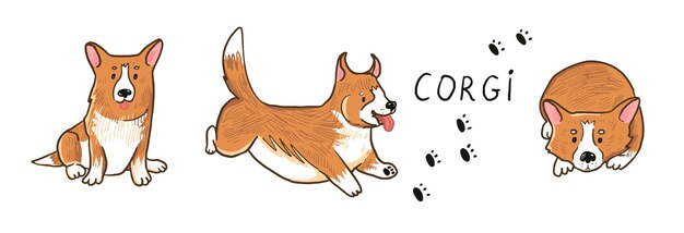 Conjunto de ilustraciones vectoriales de perros Corgi