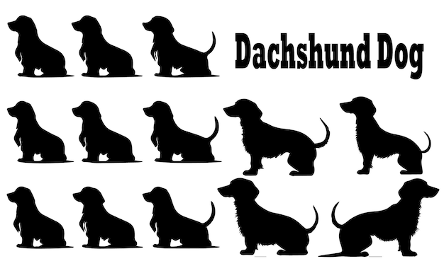 Un conjunto de ilustraciones vectoriales de perros Dachshund