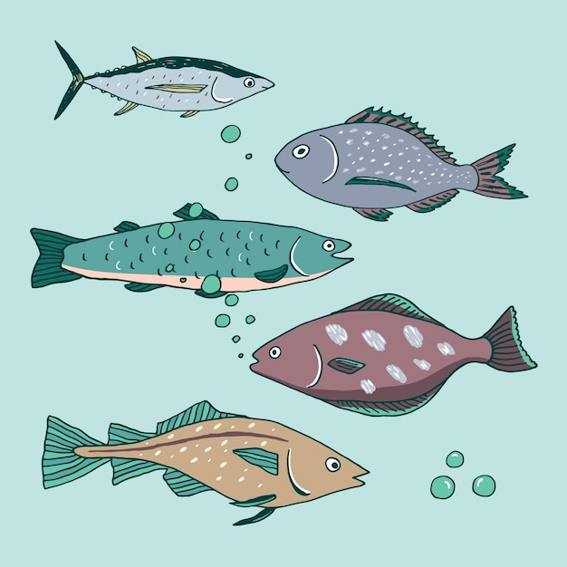 Vector conjunto de ilustraciones vectoriales de pescado y marisco