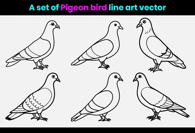 Conjunto de ilustraciones vectoriales de Pigeon Bird Line Art