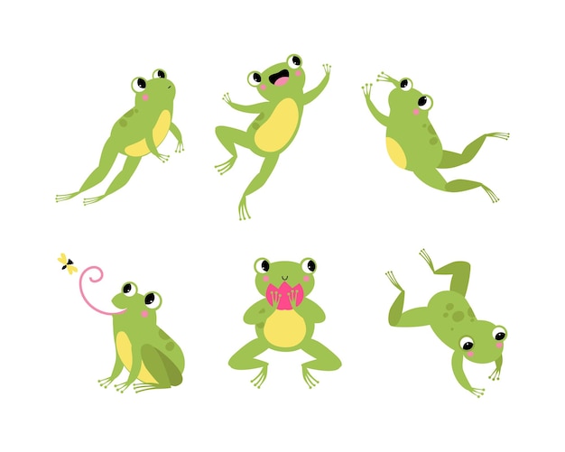 Conjunto de ilustraciones vectoriales de ranas verdes lindas con ojos sobresalientes