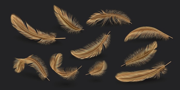 Conjunto de ilustraciones vectoriales realistas de plumas doradas dispersas