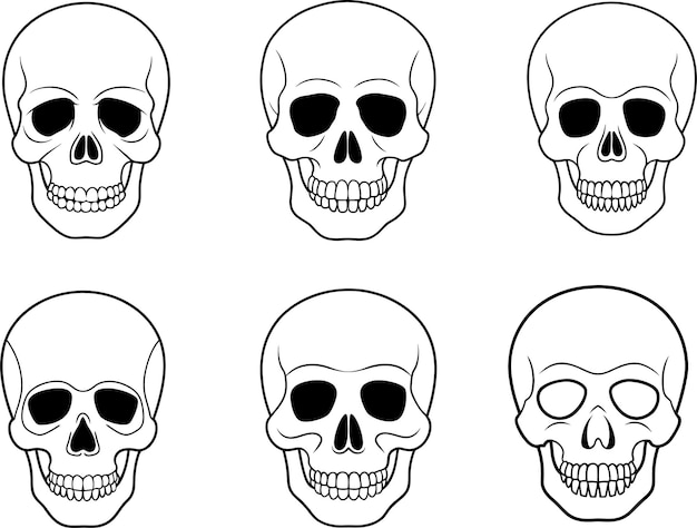 Conjunto de ilustraciones vectoriales realistas de la silueta de la línea del cráneo