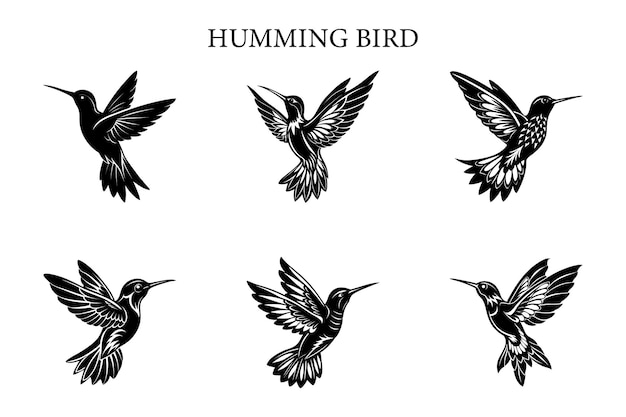 Conjunto de ilustraciones vectoriales de la silueta de un colibrí