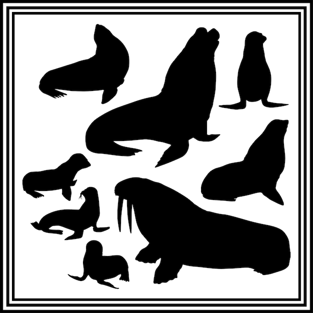 Conjunto de ilustraciones vectoriales de siluetas de focas
