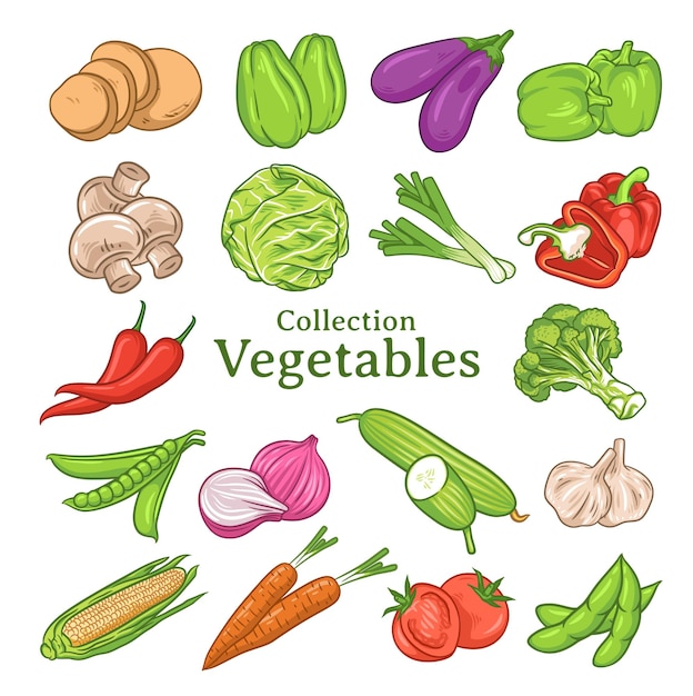 Vector conjunto de ilustraciones de verduras dibujadas a mano, colección de verduras, conjunto de verduras