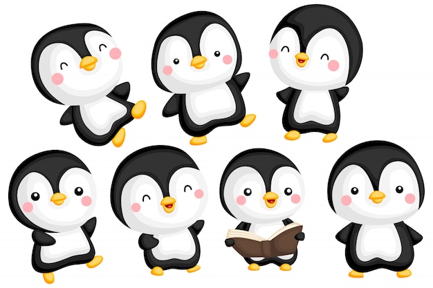 Vector conjunto de imágenes de pingüino