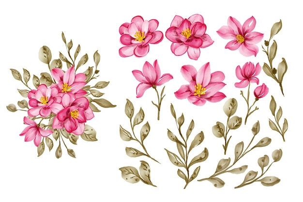 Vector conjunto de imágenes prediseñadas aisladas de hojas y flores de borgoña rosa