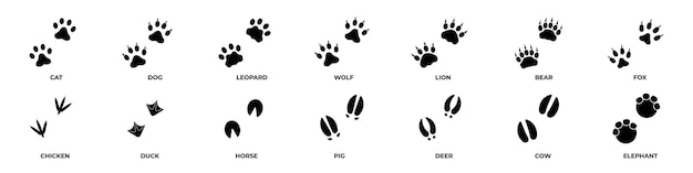 Conjunto de impresión de patas Iconos de patas de animales
