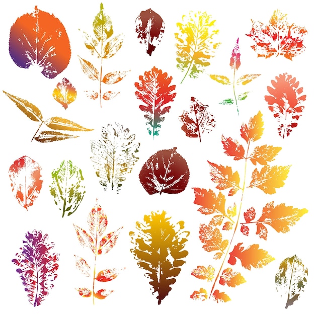 Conjunto de impresiones de hojas de otoño coloridas aisladas sobre fondo blanco ilustración vectorial