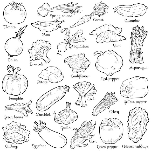 Conjunto incoloro con pegatinas de dibujos animados vectoriales de verduras
