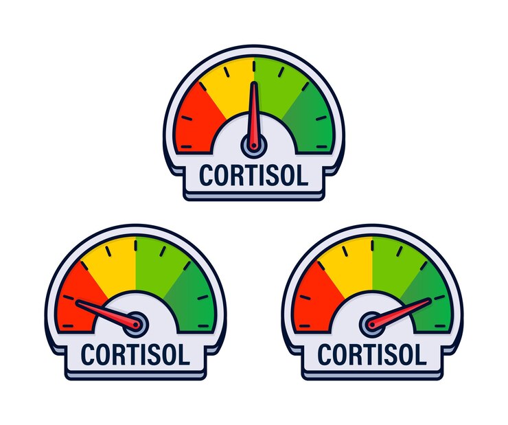Vector conjunto de indicadores de medición del nivel de cortisol ilustración vectorial con estrés y equilibrio hormonal