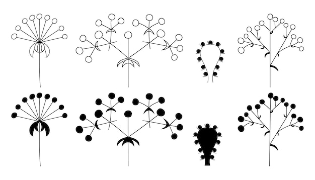 Conjunto de inflorescencias de flores en plantas en un vector aislado de silueta de tallo