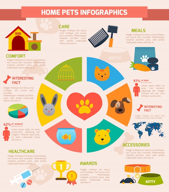 Vector conjunto infográfico de mascotas