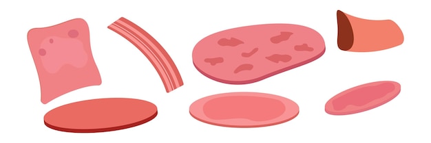 Conjunto de ingredientes para hamburguesa y sándwich Salsa de chuleta de bollo de verduras en rodajas Ilustración de vector de comida rápida colección de iconos planos de dibujos animados aislado en blanco
