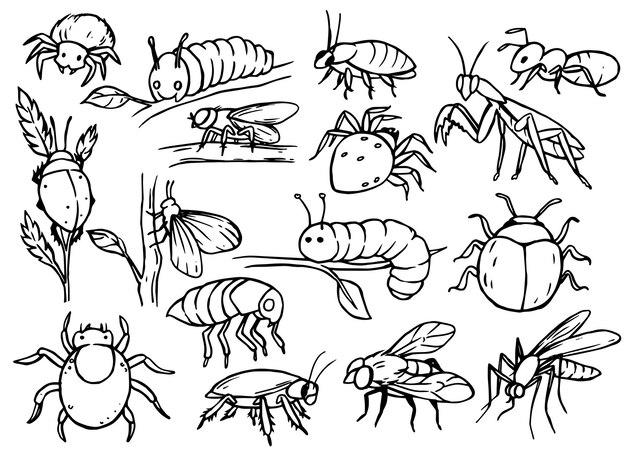 Conjunto de insectos plagas Ilustración vectorial en estilo boceto