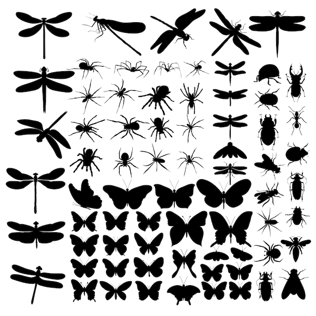 Conjunto de insectos silueta