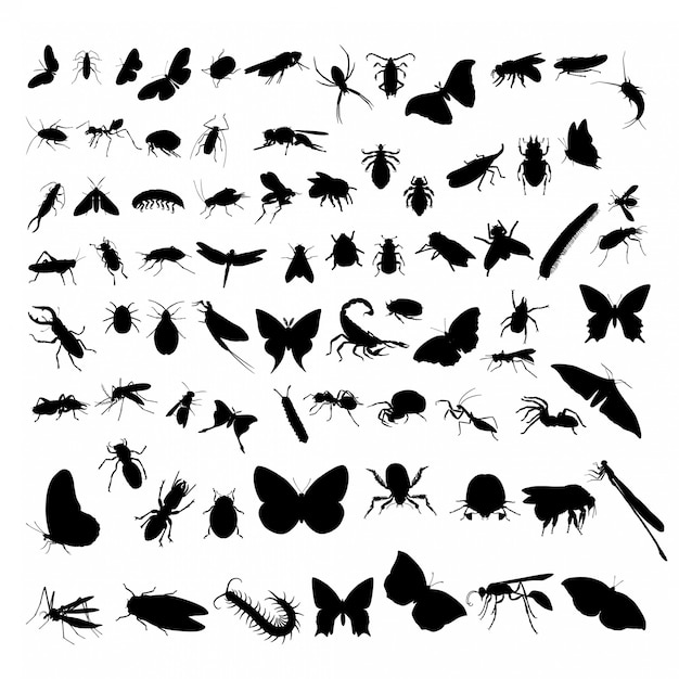 Vector conjunto de insectos