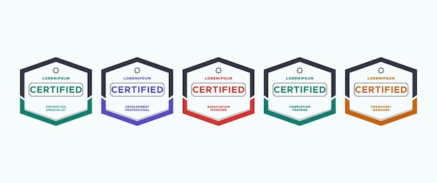 Conjunto de insignias certificadas