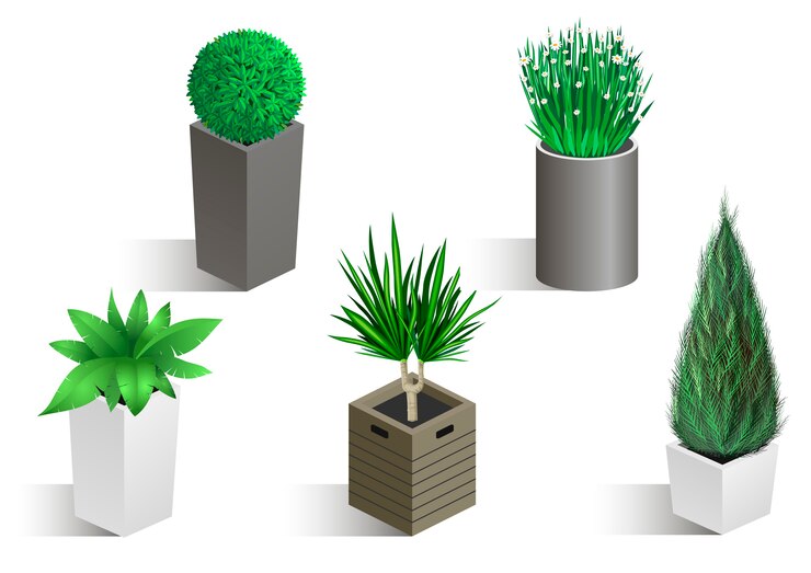 Vector conjunto isométrico de diferentes plantas.