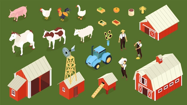 Conjunto isométrico de granja con granjero granja gallinero granero tractor ganado animales gansos fondo verde ilustración vectorial