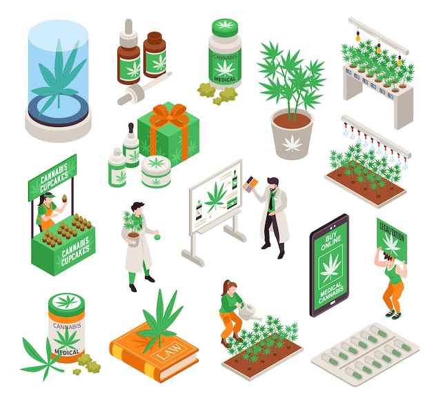 Conjunto isométrico de legalización de cannabis de personas dedicadas al cultivo de cáñamo y productos para cocinar cosméticos y medicina ilustración vectorial aislada